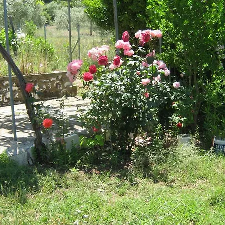 Venetia Apartament *